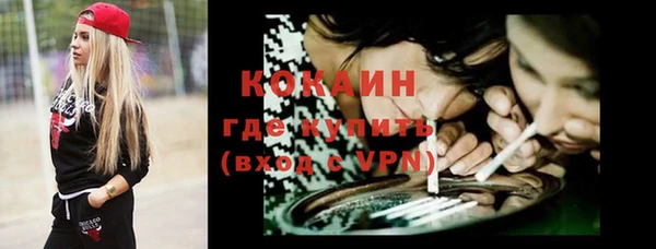 соль ск Алексеевка