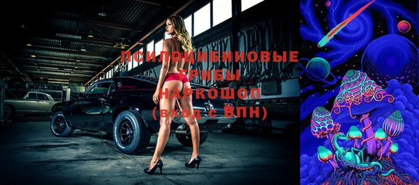 дмт Алзамай