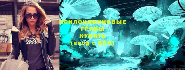 дмт Алзамай