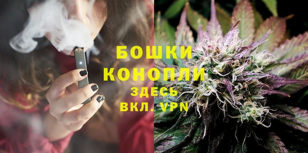 соль ск Алексеевка