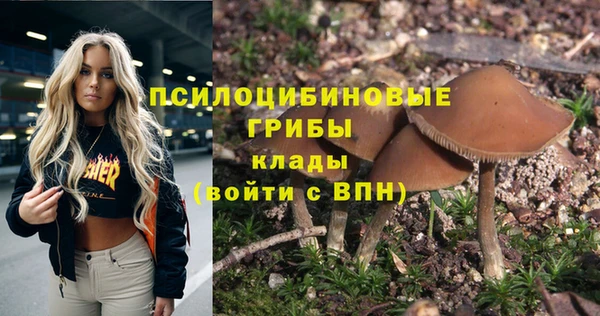 соль ск Алексеевка