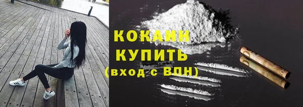 амф Снежногорск