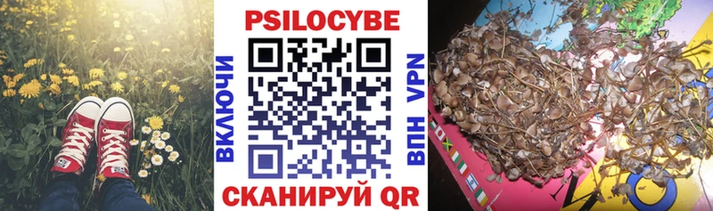 Галлюциногенные грибы мицелий Муравленко